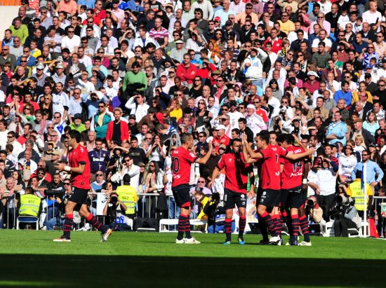 教练在比赛 教练在比赛